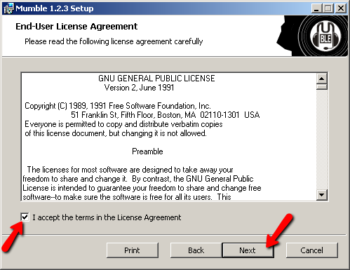 Mumble Install Screen 2